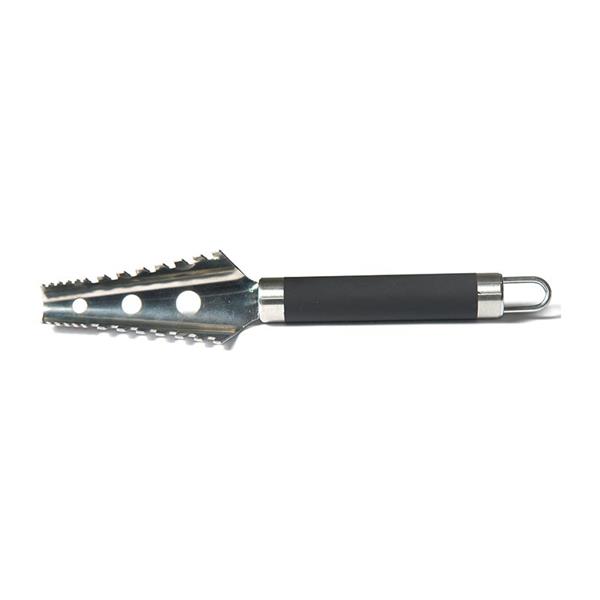 Biradlı Brd-Ef97 Balık Pul Temizleyici