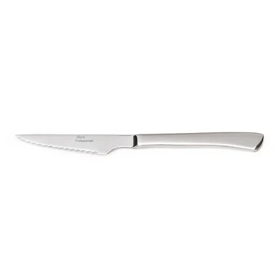 Zicco Zb 01 Steak Bıçağı Çelik Saplı 22 Cm